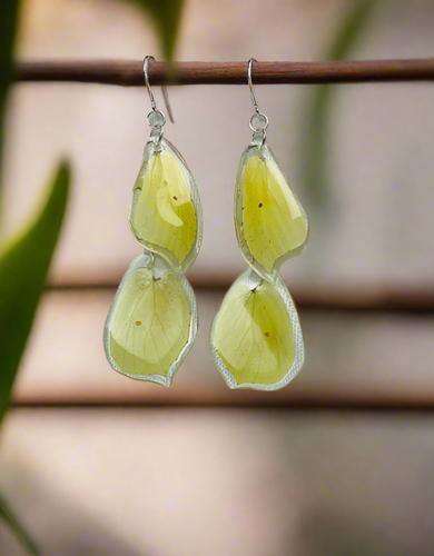 🦋 Brimstone Butterfly Earrings