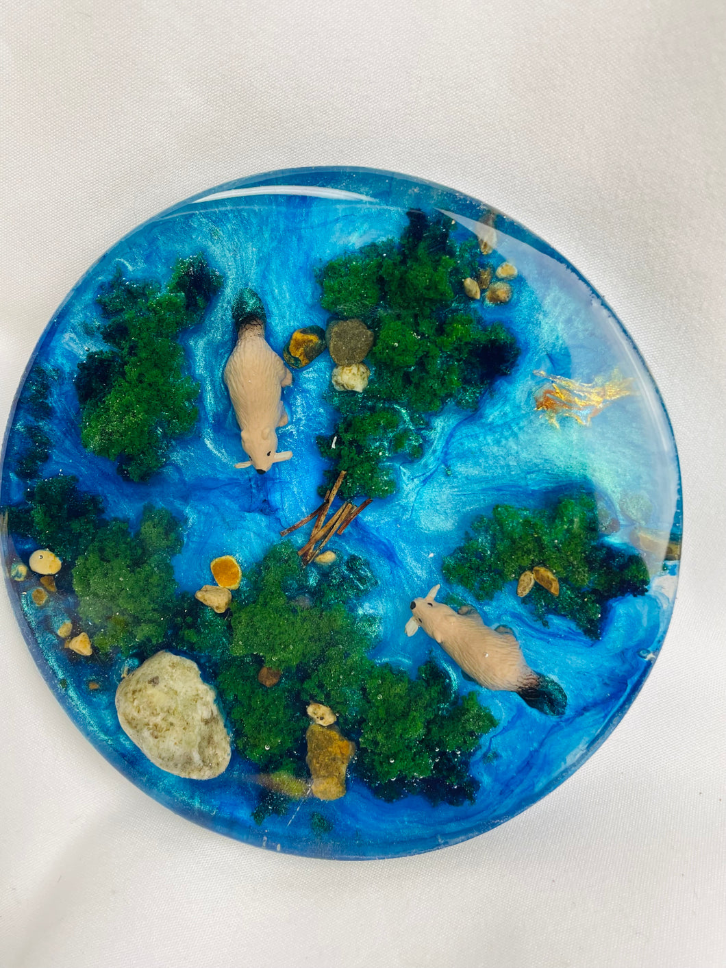 Busy Little Beaver Coaster