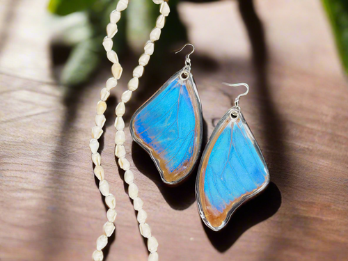 🦋 Blue Morpho Didius Butterfly Earrings