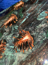 Load image into Gallery viewer, Pinecone Table