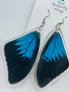 Blue Wing Earring