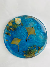 Load image into Gallery viewer, Double Stings Coaster