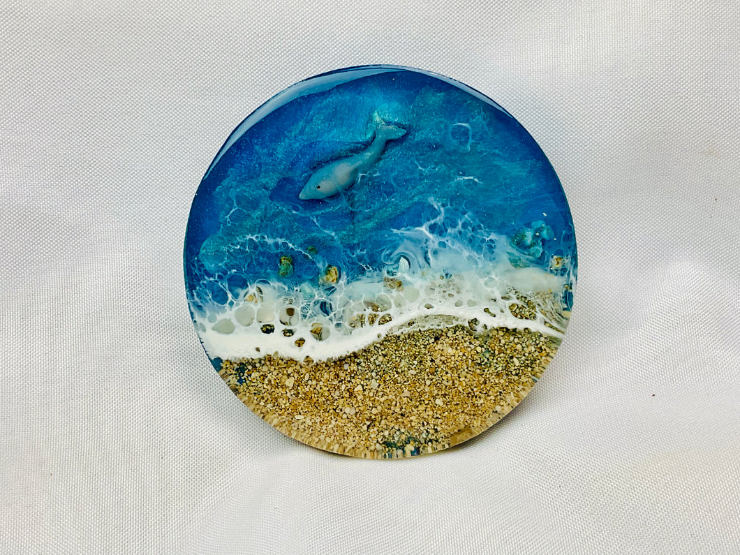 Sandy Beach Dolphin Coaster