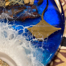 Load image into Gallery viewer, Midnight Stingray Coaster